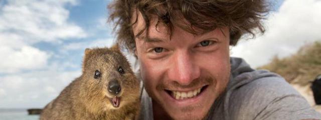 selfie animaux