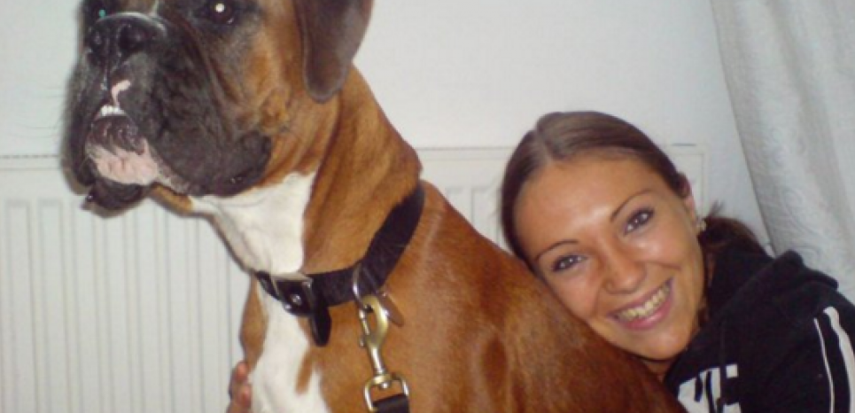 clonage chien